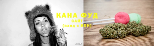 дживик Магас
