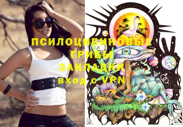 стаф Мегион