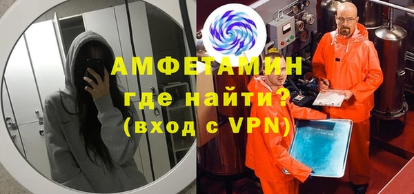шишки Елизово