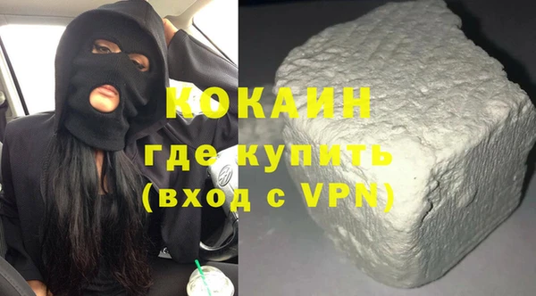 шишки Елизово