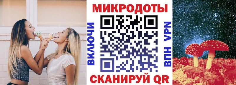 Галлюциногенные грибы Cubensis  omg зеркало  Елизово  где купить  