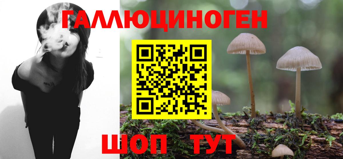 Галлюциногенные грибы GOLDEN TEACHER Елизово